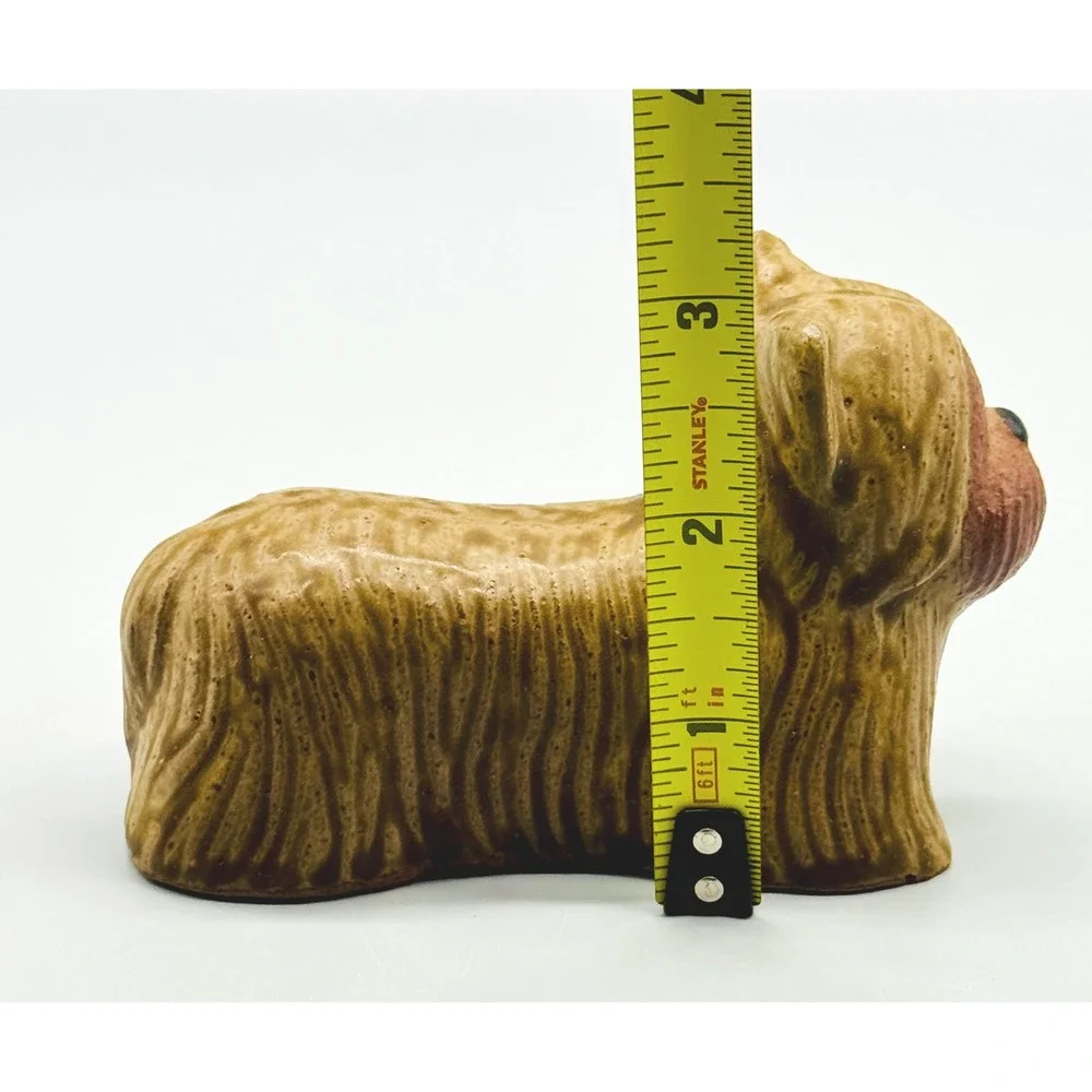 Toscany yorkie terrier
